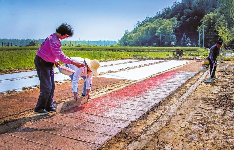 ��ѧ����