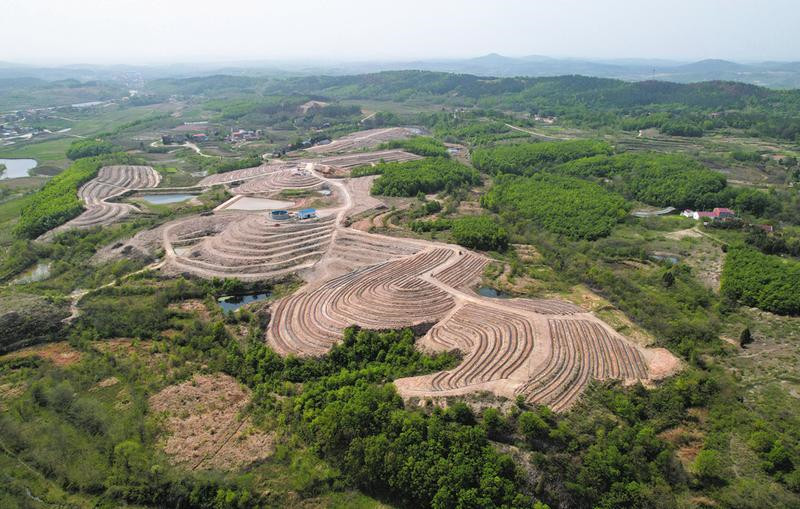 ɽ��Ѱ��ݮ�� ��������ˮ�й��������ϴ����ݮ��ҵ