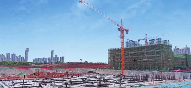 ���ݸ������ĵ�ѧУ��������