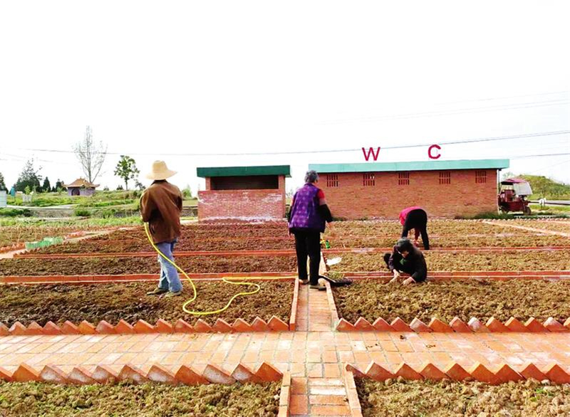 �������Ҹ���������Ϻ���԰��ũ�����ںϻ�������������