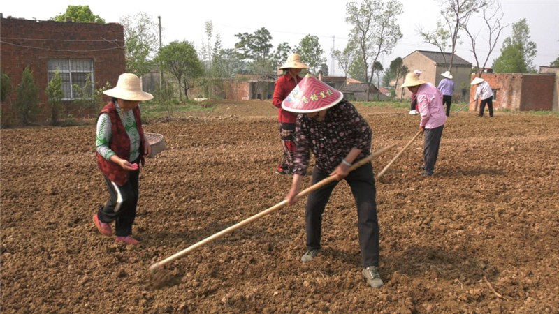 ��ˮ�У���벢�� ������� ȷ��������ָ�ꡱ��ʵ