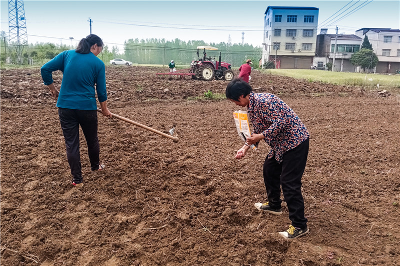 ���ֻ������æ