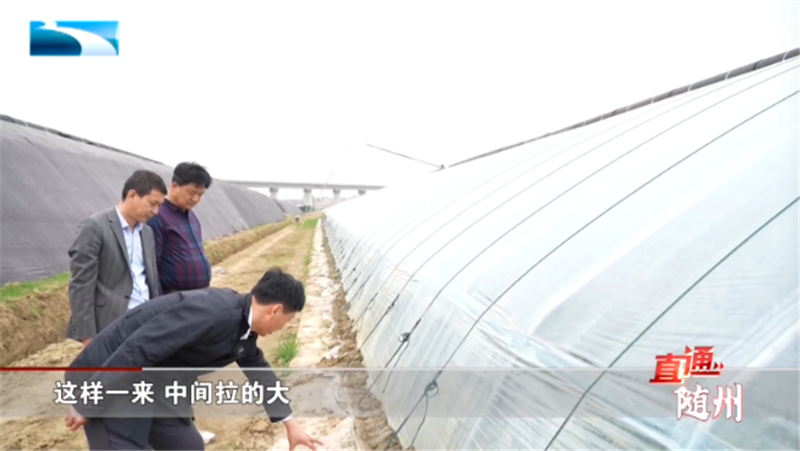 ֱͨ | ذ߲˲ҵˡί һҵ