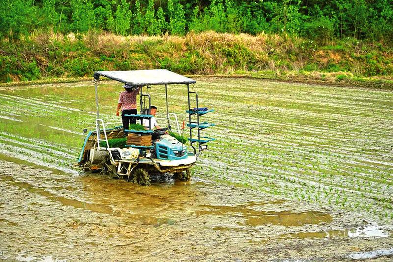 �����������ﱣķ����ũ����������������