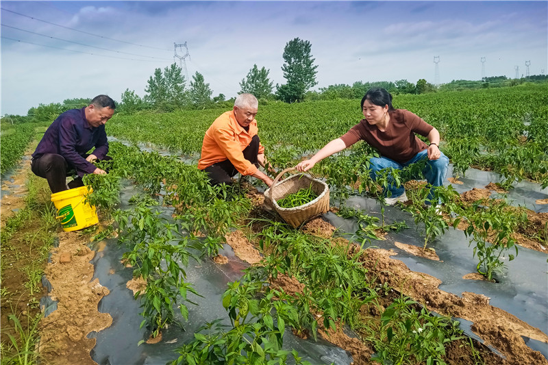 Ϊ�弶��չ��������