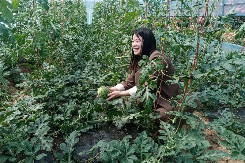 ��ҵ������������