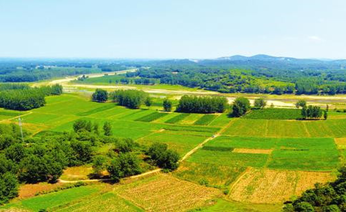 ںϴٳ дȫʡĲҩӹڻ̽