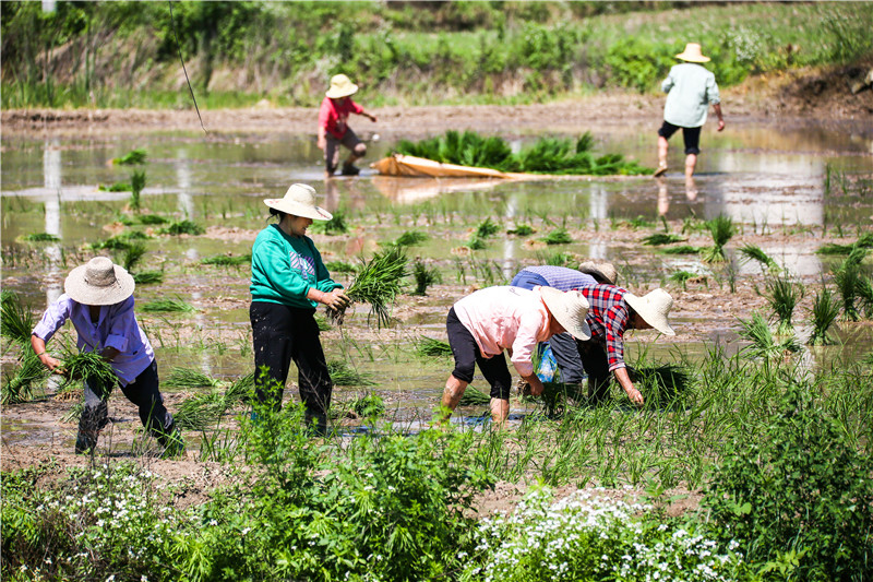 ���ﻥ������æ