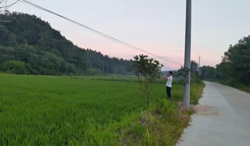 ȻԴ͹滮 ʵճ飬ǿõҪر