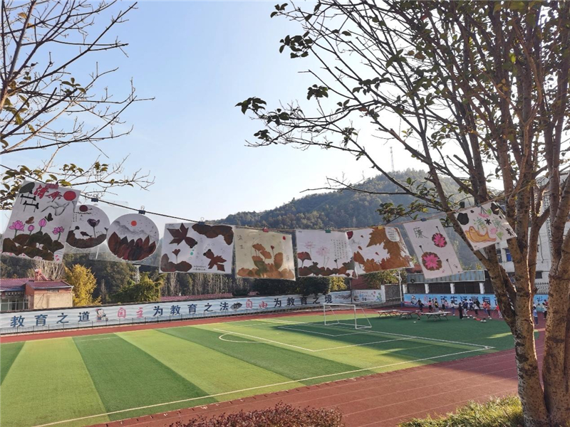 ����������ѧУ��չ��Ҷ�����