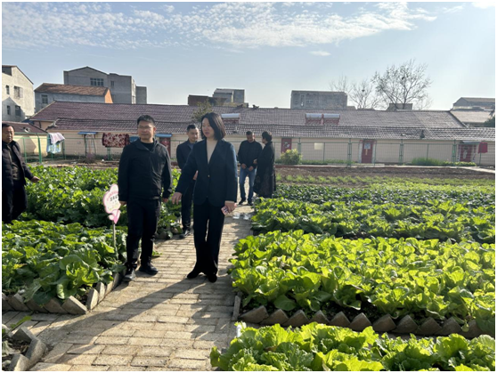 ����ί�����鵽�򸣵�ũ������Сѧ��չ���ȶӵ��й���