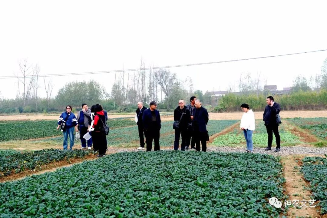 ����٣�����������