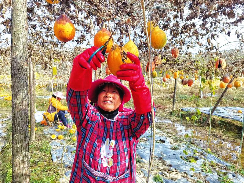 ɽ壺ºáᡱ 徭ýᡰ˶