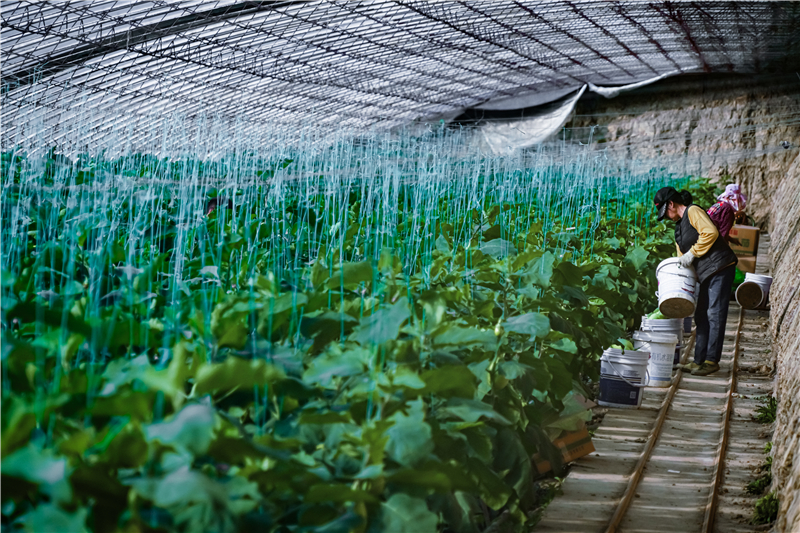 ��ҵ����