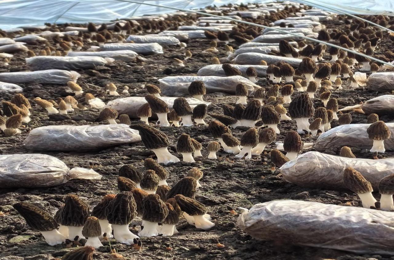 ��Ǯ��;���ɡ�������������-���������á����������