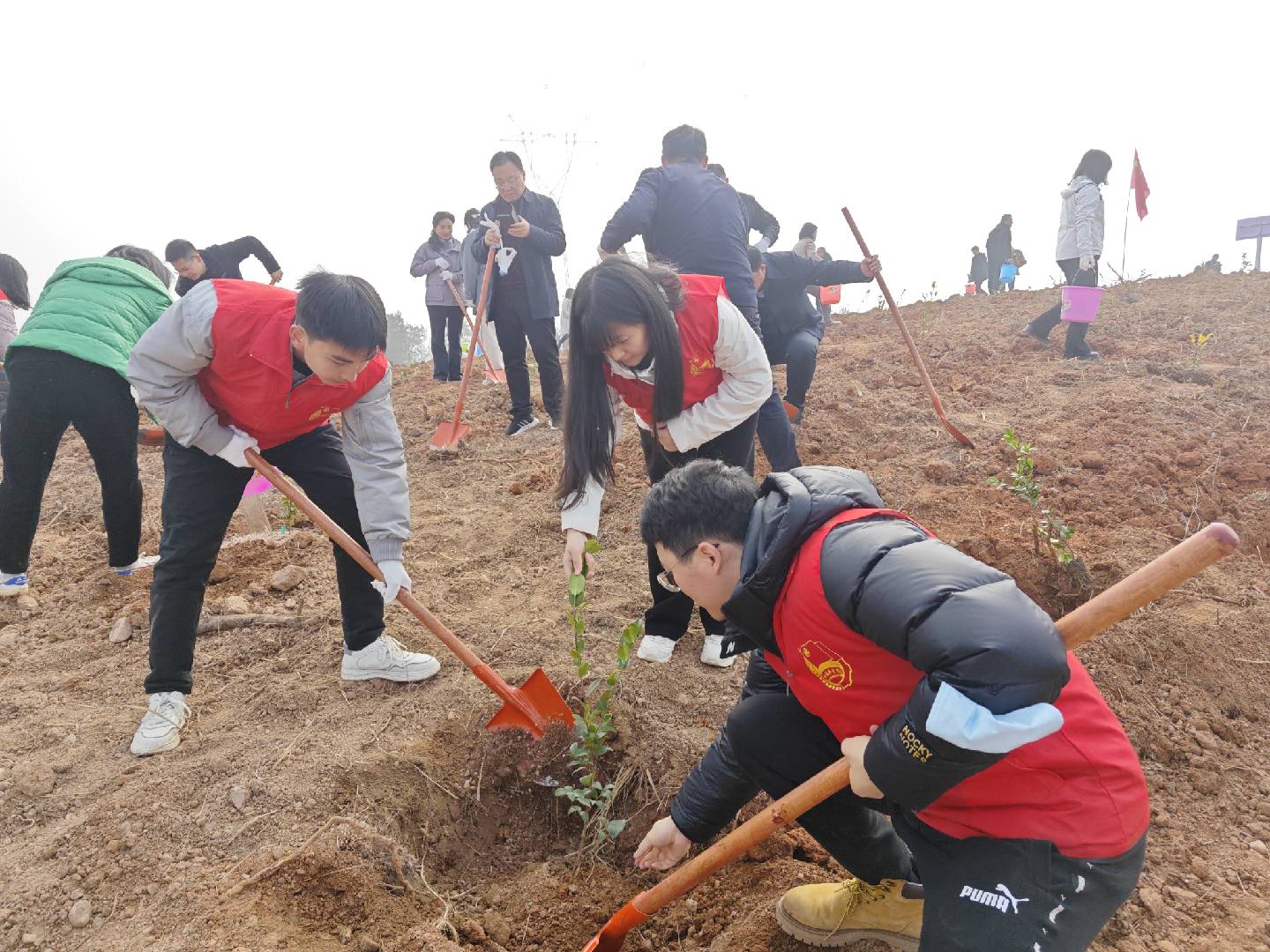 ���������������Դ��˾�μ�����ֲ����ṫ��