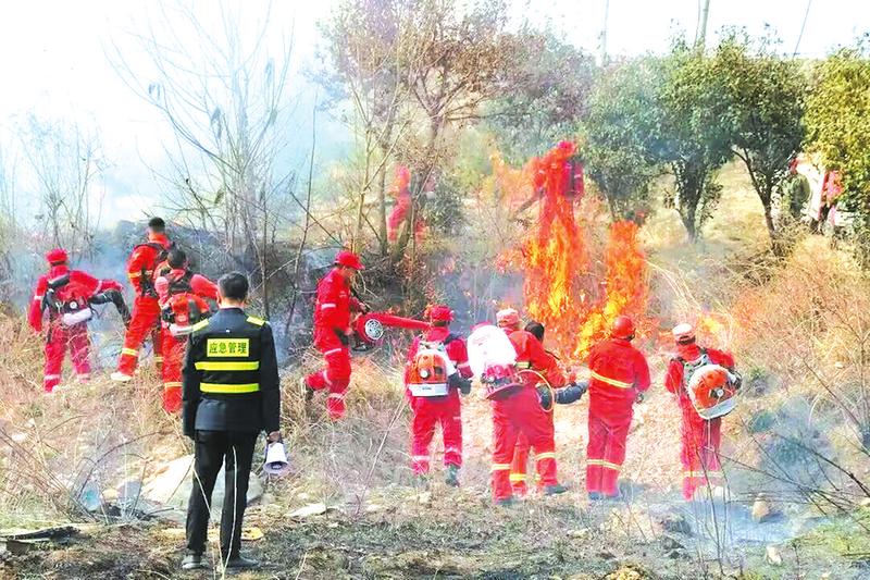 Ӧ������