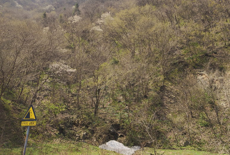 ϲ|˼죬ɽ֡ɽϻɽѩ