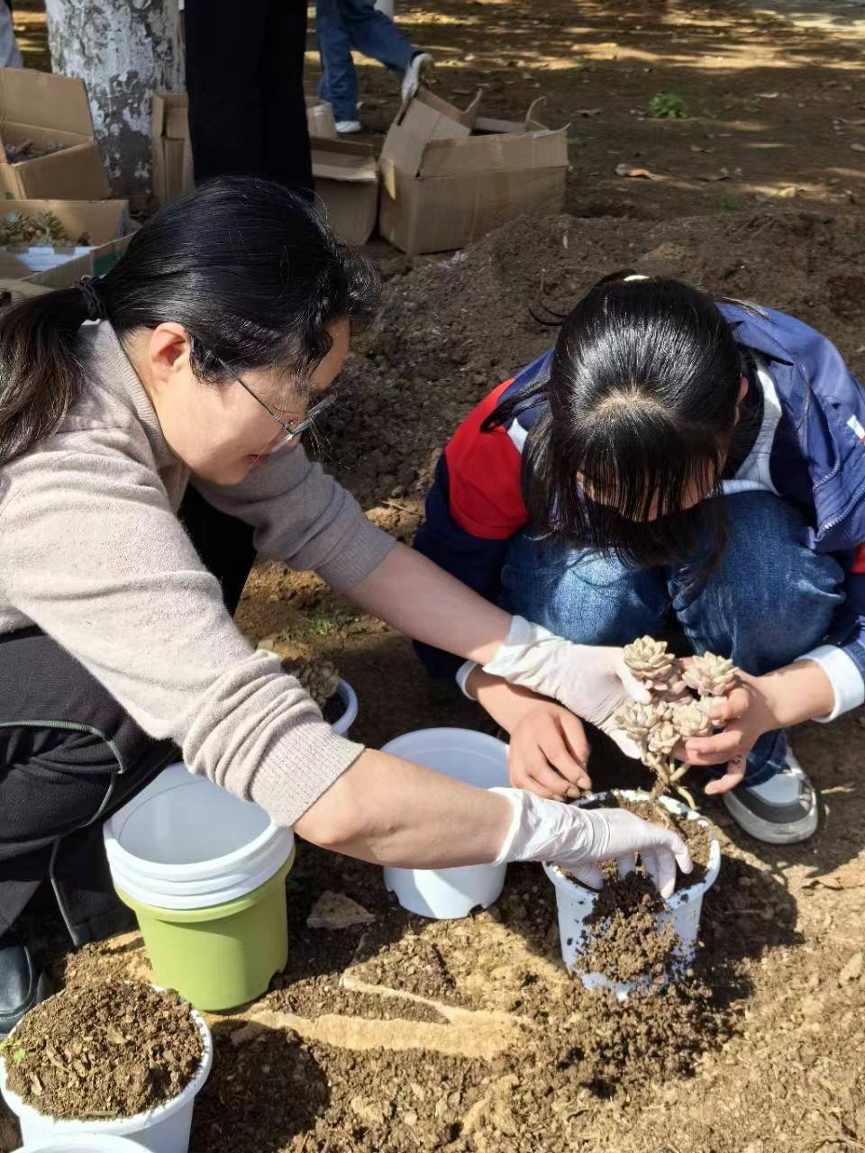 ߳ѧУ̽˫µĶֲͶγ