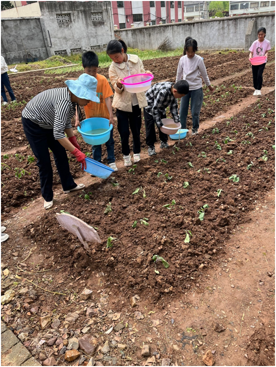 СѧССũѧֲˣϣɳͼƬ