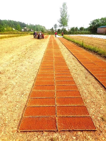 �ε�������Ӵ塪�� �Ƽ������ �������е�����