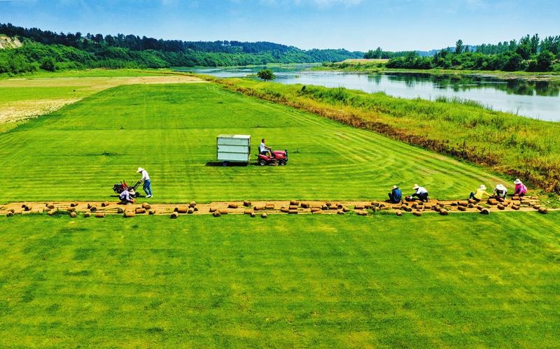 ��ҵ�� ������ ֧��ǿ ������ƺ������������˾��ǿ�ų����ͷŷ�չ�»���