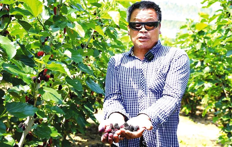 ɣ�ع���֦ͷ �м���ũ���Ρ����֡�