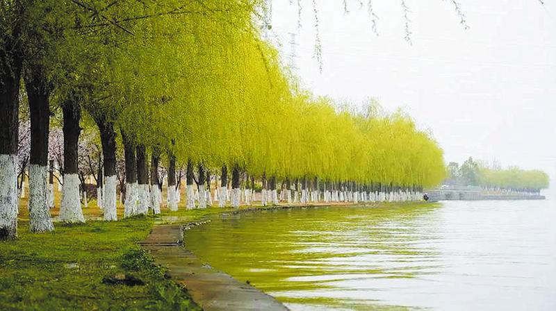 ��ˮ�岨����չ ������������ν��衰�Ҹ�㵐ˮ������ȫ����ˮ���¡�