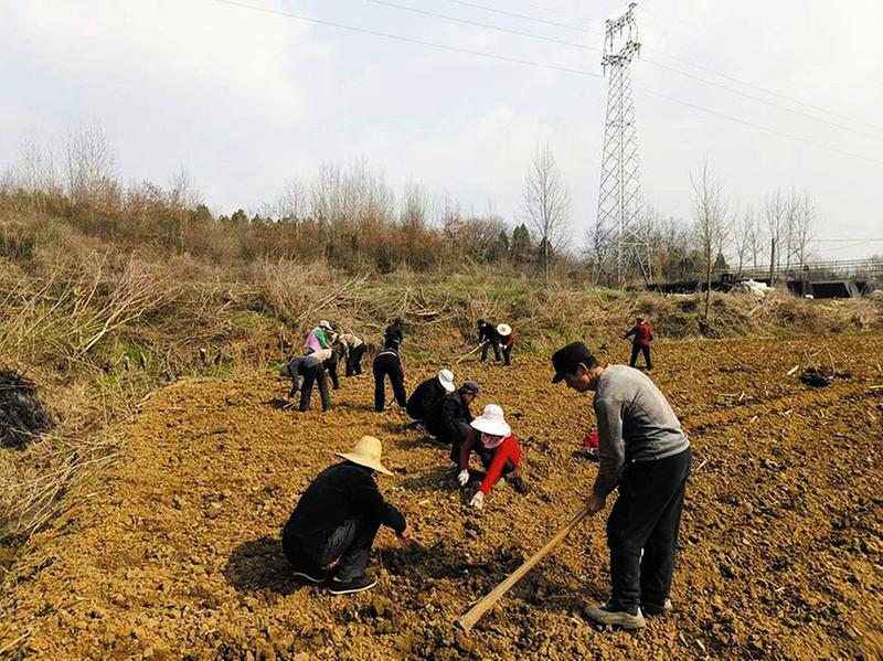 ���߽���忴���ˡ�������������塪���㴻���ؽ���æ