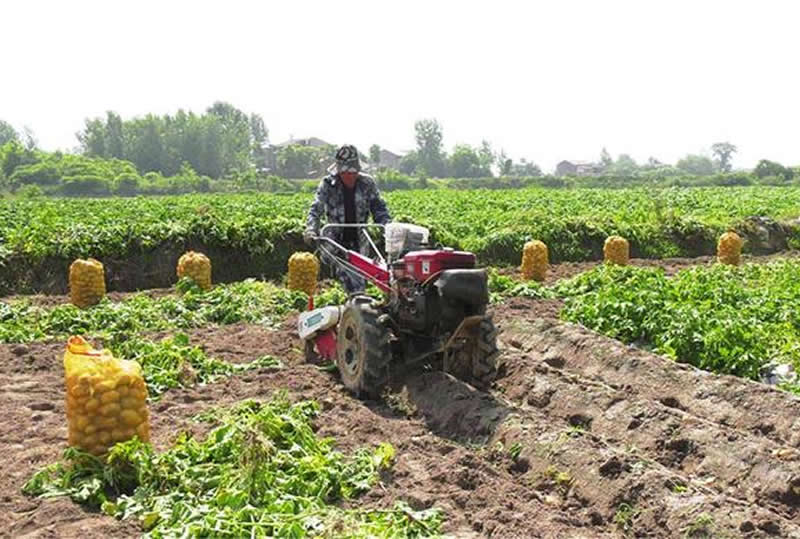 ��С���������������г�