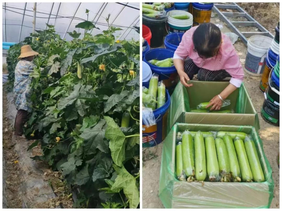 ���������ҺӴ壺����¸��������ߡ�д���պá�Ǯ����