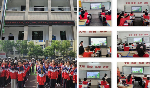 ���Ż�Ӫ�̻������������ۿ���Сѧ��չ�����ܡ���ˮ���������������ࡢѧ��Ӫ���ա������