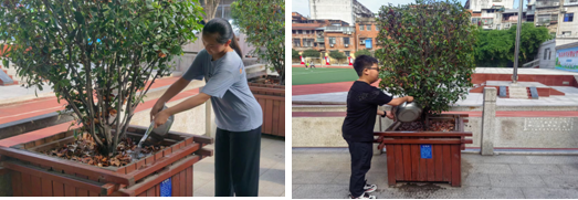 ���Ż�Ӫ�̻����������������� �������С�������������Сѧ��չ�����