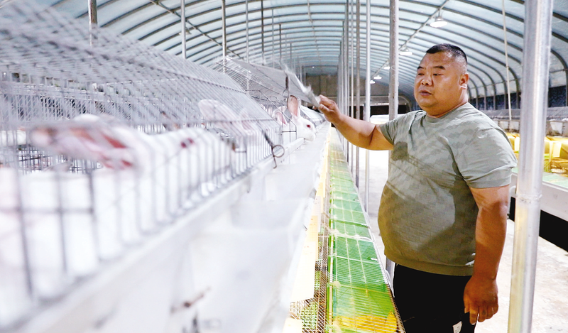 ����򶫷��壺��ֳ���Ҹ��á������¸�·