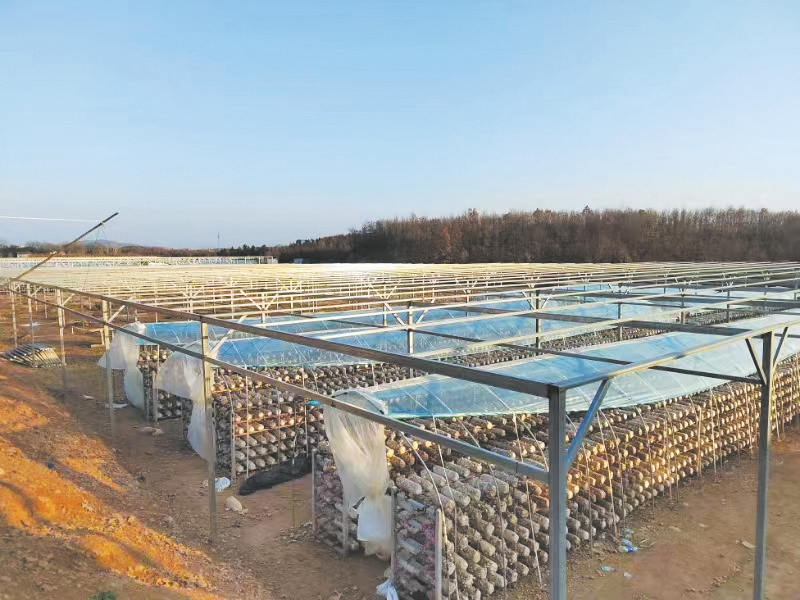 ���ϡ���ڡ���ҵ�� ������ˮ�кµ��򵳽���������ҵ��������չ�۲�