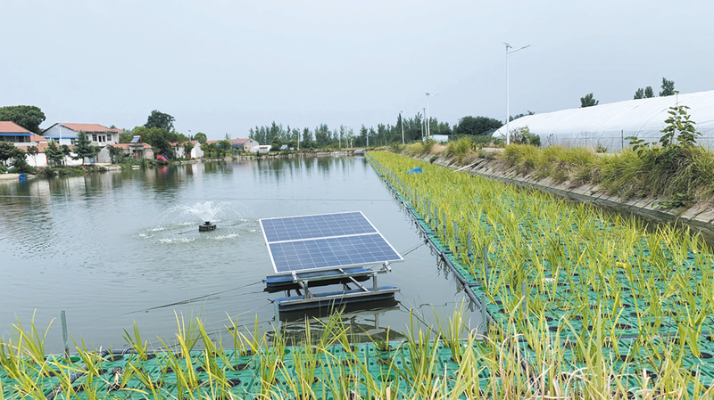 �������¥�塪�� ۏ��������ˡ��Ρ���·