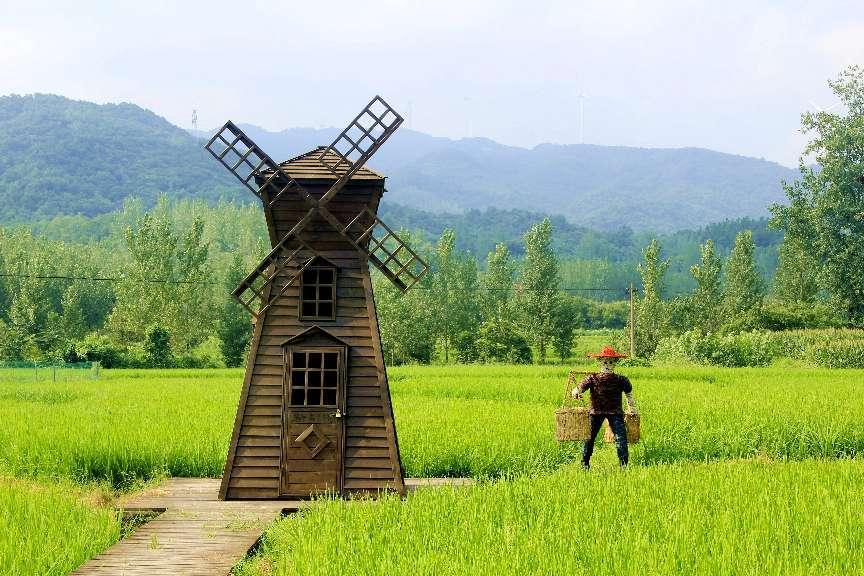 �ݵ���¼�կ������Ŵ�������