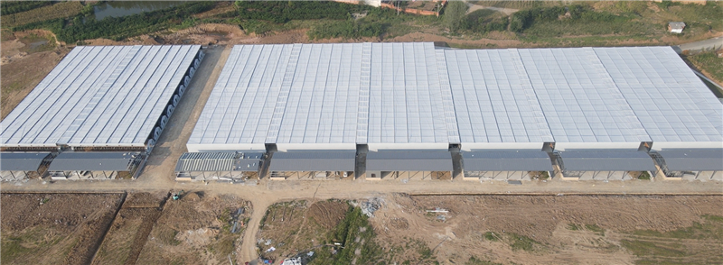 �����ԡ��硱Ϊý�����㹽��Ӧ����ϵ