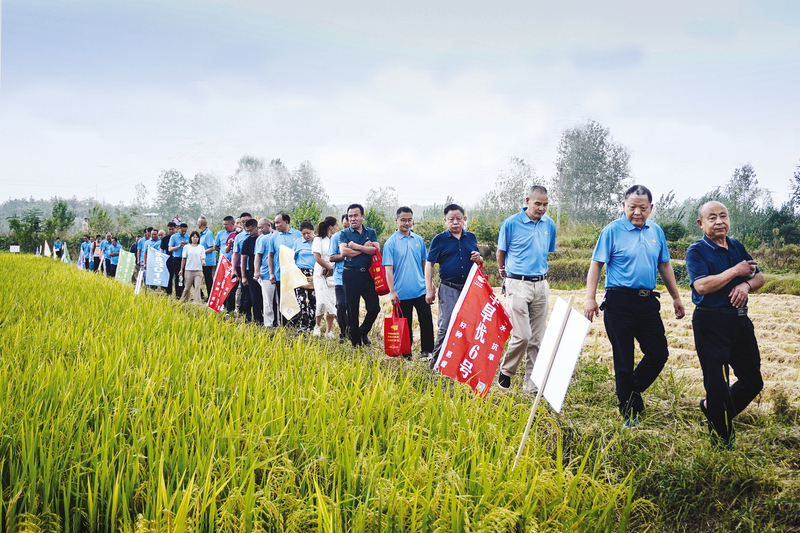 ���������н�ˮ��������PK