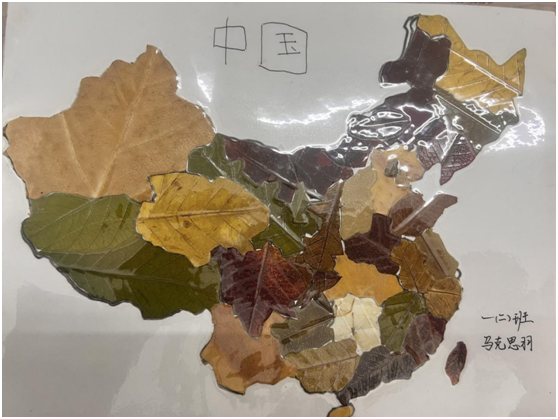 ����������ѧУ����Ŀ���������ɳ� �Ż�����Ӫ�̻���