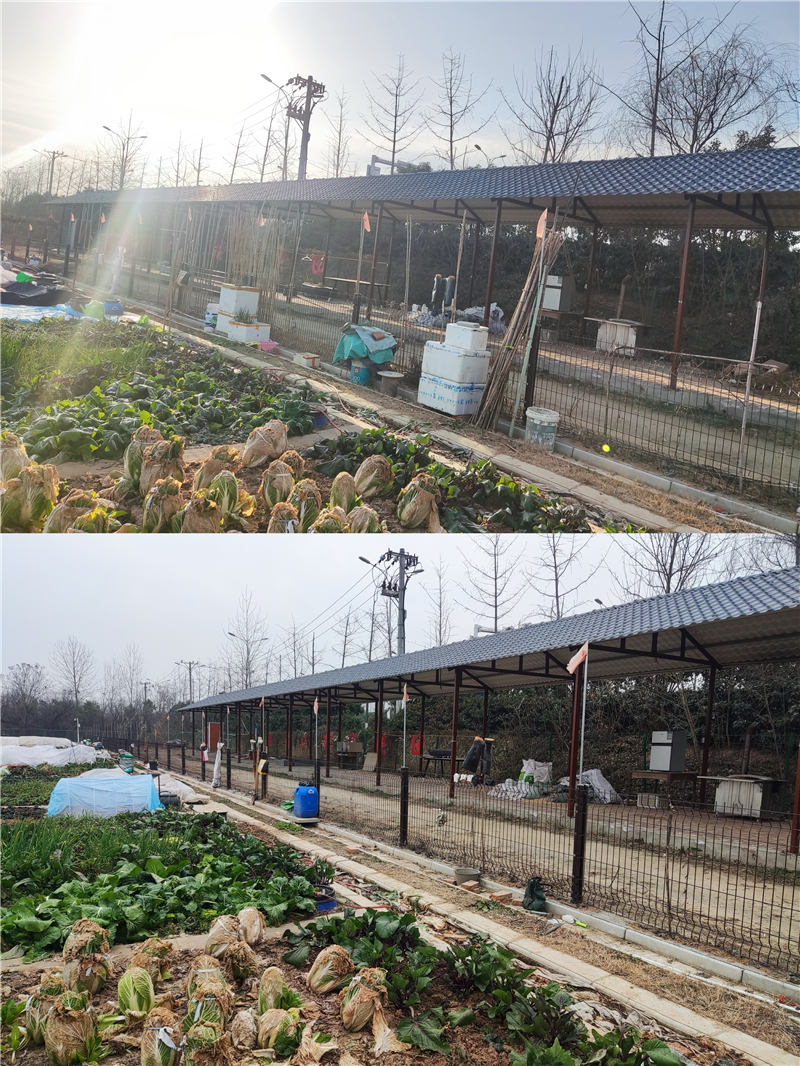 �������� ����������