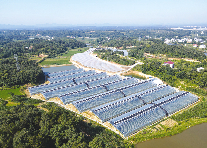 �ε���𻪴壺С�����������¸����롱������������¶���