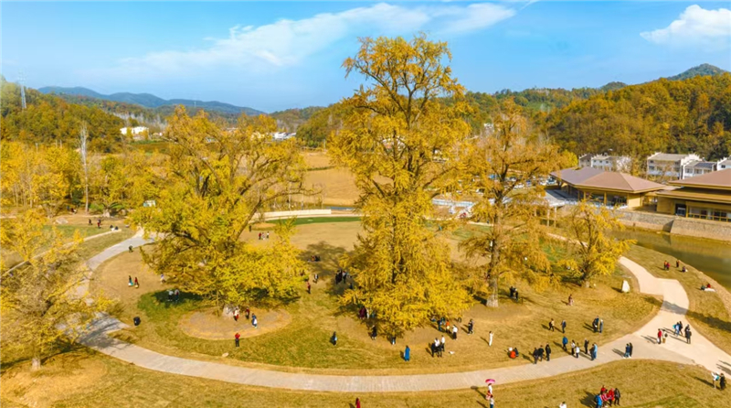 ��������ί��Ƿ�̸����𩣺�Ա�Ա�ȫ����ǿȫ��������չ��Ч ��ȫ�и�������չ�������ͷӲ��֧��