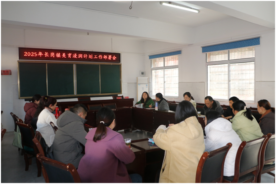 �������ٿ�2025����������ƻ����������