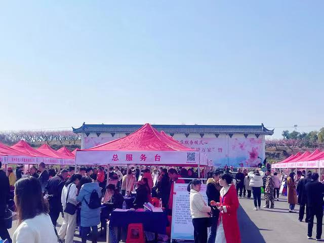 ؾٰ2025ꡰ߽ҡߡжƸ