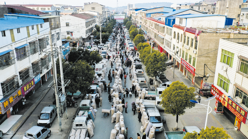 1ڰ㹽˶12ڲֵ򡰵㹽ɽ𡱵