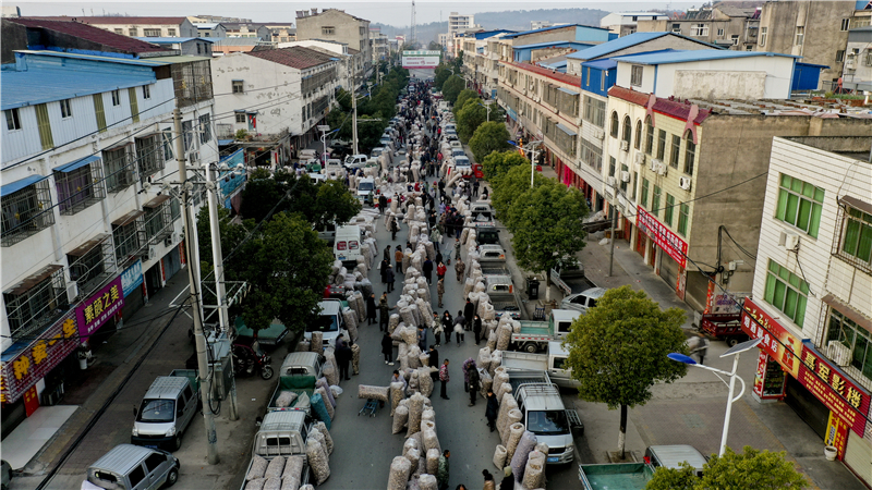 չСݣ1ڰ㹽˶12ڲֵ