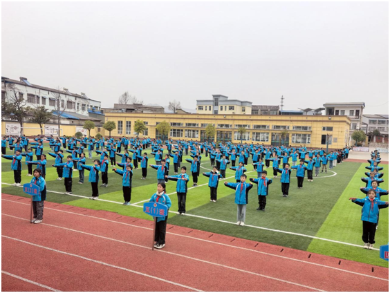 ���زݵ�������Сѧ�ٰ��и��꼶������������