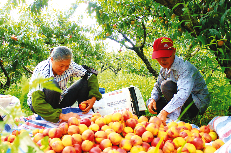 Сˮ˶ҵɫˮҵֵ10Ԫ