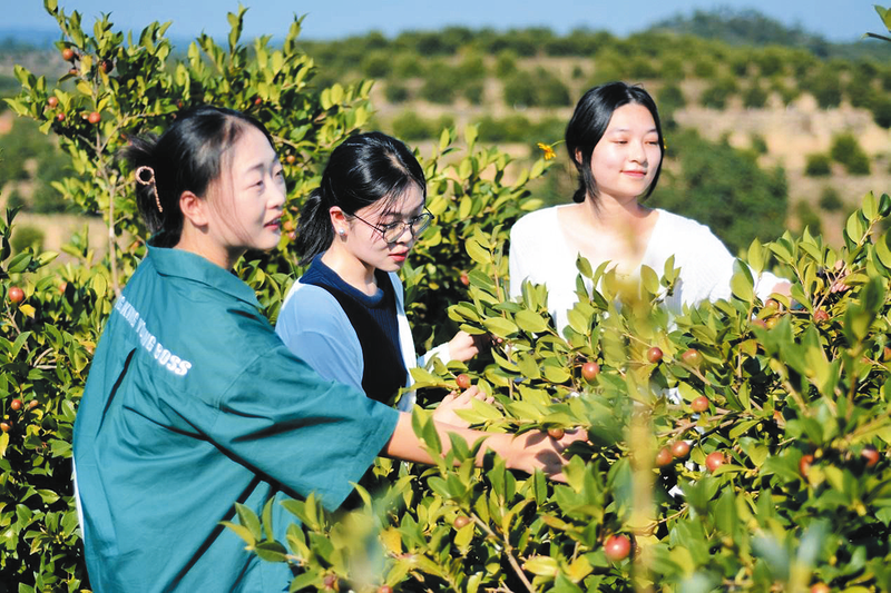 ΪͲҵϡAI ؝̶ԸɲΪҵע»